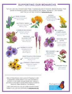 Image of 12 species of plants to plant in the yard to feed monarchs and opens into a new tab as a downloadable pdf when clicked on
