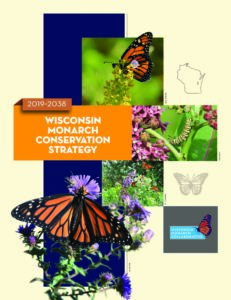 image of the Wisconsin Monarch Conservation Strategy pdf and opens into a new tab as a downloadable pdf when clicked on