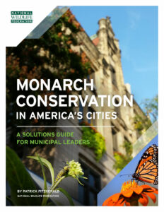 Image of the Monarch Conservation in America's Cities pdf and opens into a new tab as a downloadable pdf when clicked on