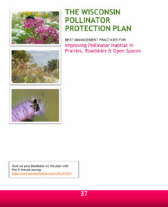 Image of the Wisconsin Pollinator Protection Plan for improving Pollinator Habitat in Prairies, Roadside and Open Spaces pdf and opens into a new tab as a downloadable pdf when clicked on