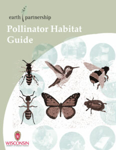 image of the Pollinator Habitat Guide pdf and opens into a new tab as a downloadable pdf when clicked on