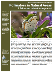 Image of the Pollinators in Natural Areas guide pdf and opens into a new tab as a downloadable pdf when clicked on