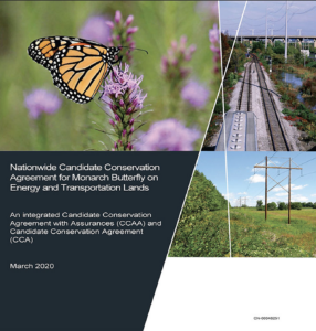 Image of the Nationwide Candidate Conservation Agreement for Monarch Butterfly on Energy and Transportation Lands pdf and opens into a new tab as a downloadable pdf when clicked on